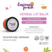 Ultra Protection Herbal Lip Balm - Bubble Gum - Kids & Teens [Unisex] - Local Option