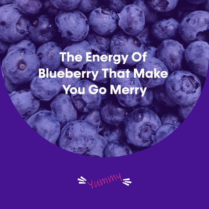 Only Plant Blueberry Plant Based Vegan Energy Bar, Pack of 6