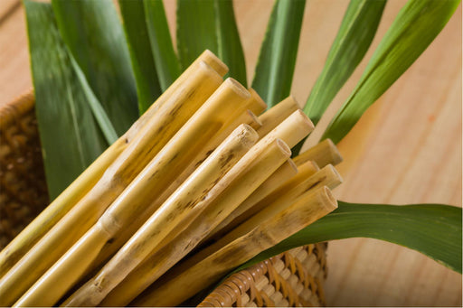 Handmade Bamboo Straw (Pack of 8 Straws) - Local Option