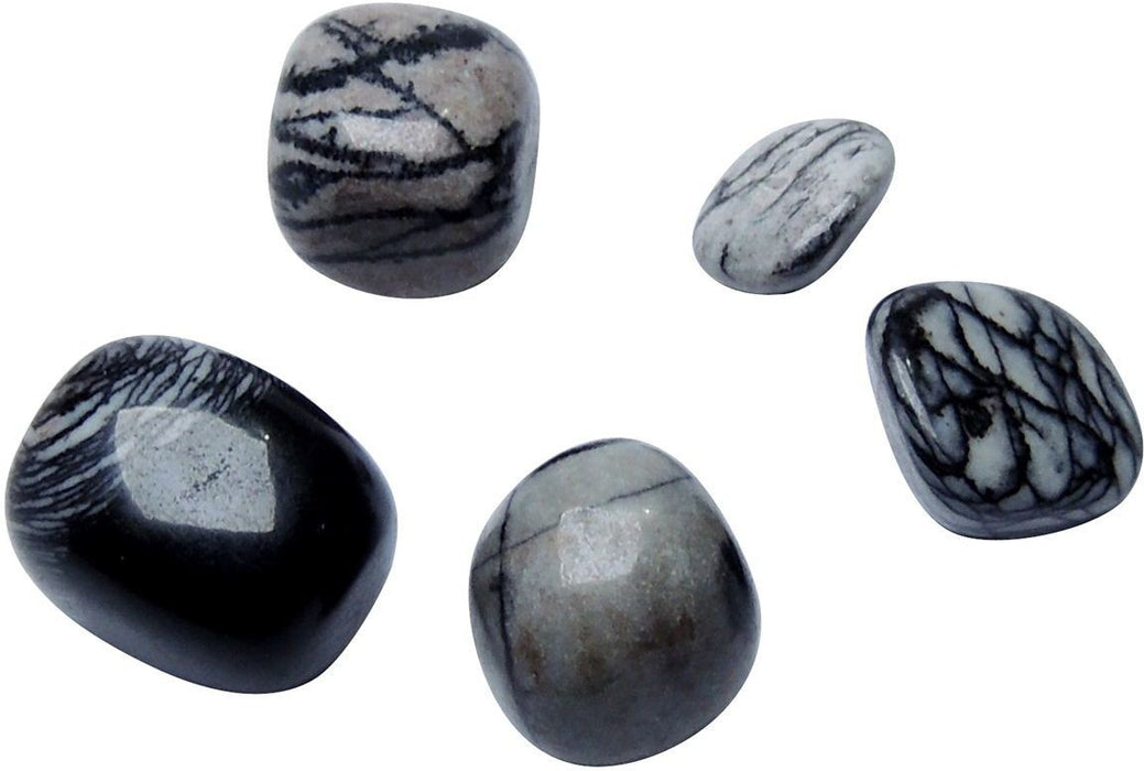 SATYAMANI Natural Picasso Jasper Tumble with Healing Properties (Pack of 2 Pc.)
