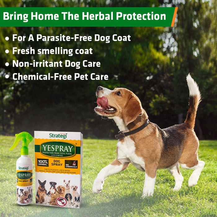 Herbal Dog Spray for Ticks, Fleas, Lice and Mites