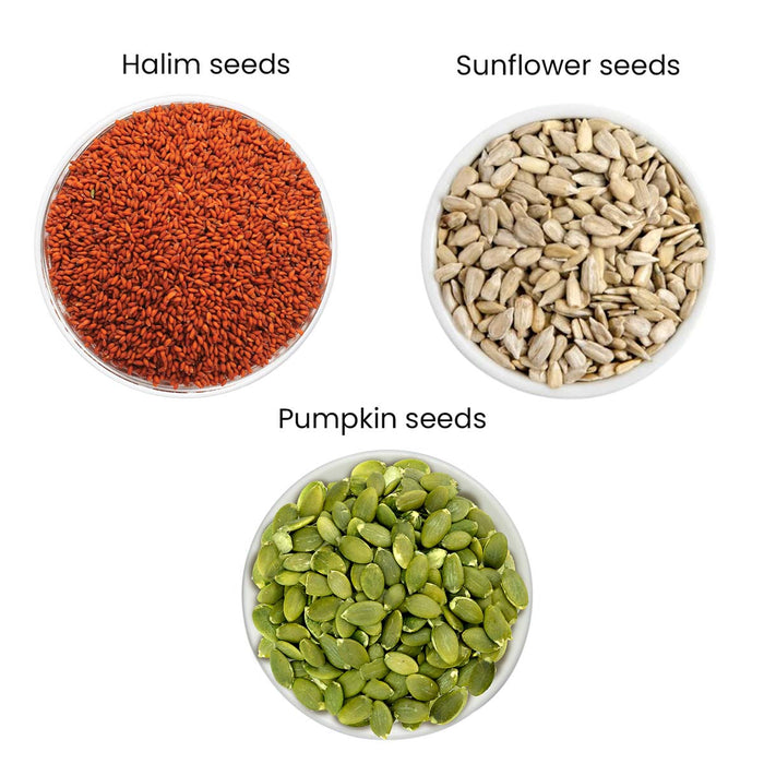 Moksa Organic Seeds Combo for Eating | Halim Sunflower and Pumpkin Seeds | Set of 200g x 3 with Tin Storage Box | High Fiber | Free Samplers