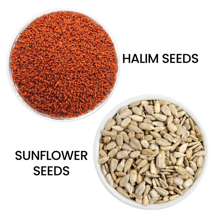 Moksa Halim and Sunflower Seeds for Eating Organic 200g x 2 with Free Samplers
