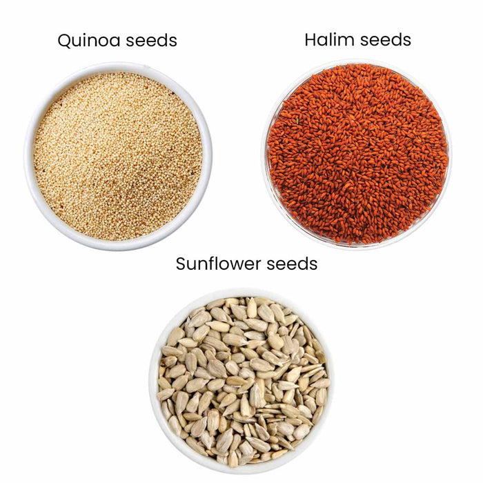 Moksa Organic Seeds Combo for Eating | Quinoa Halim and Sunflower Seeds | Set of 200g x 3 with Tin Storage Box | High Fiber | Free Samplers