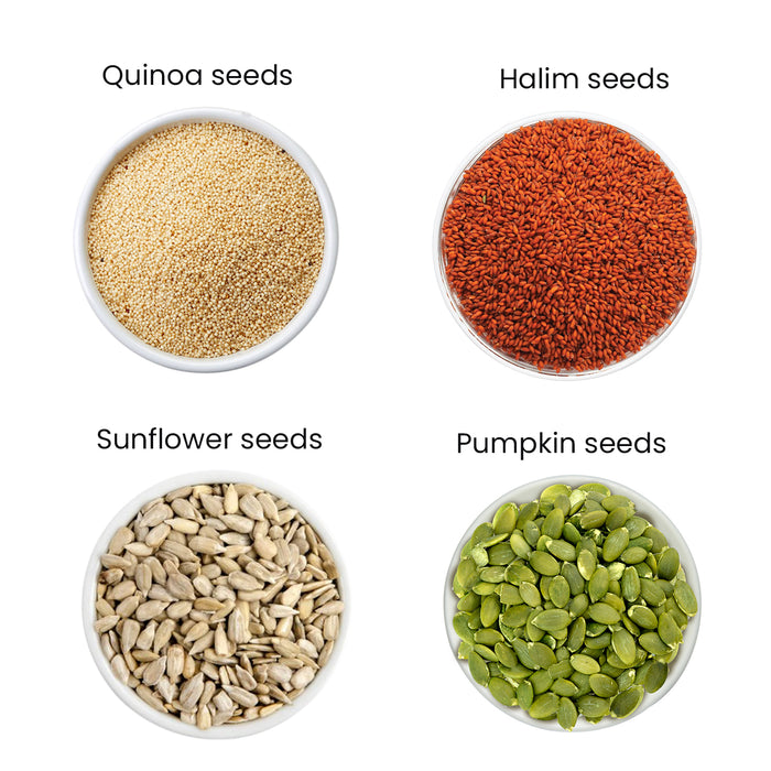 Moksa Organic Seeds Combo for Eating | Quinoa Halim Sunflower and Pumpkin Seeds | Set of 200g x 4 with Tin Storage Box | with Free Samplers