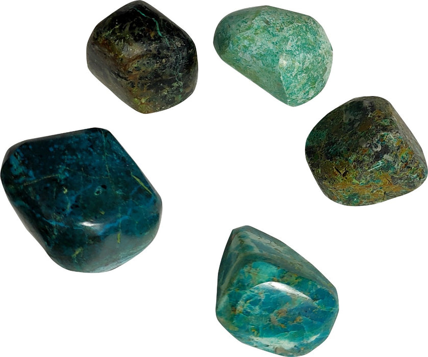SATYAMANI Natural Chrysocolla Tumble Stone (Pack of 5 Pcs.)