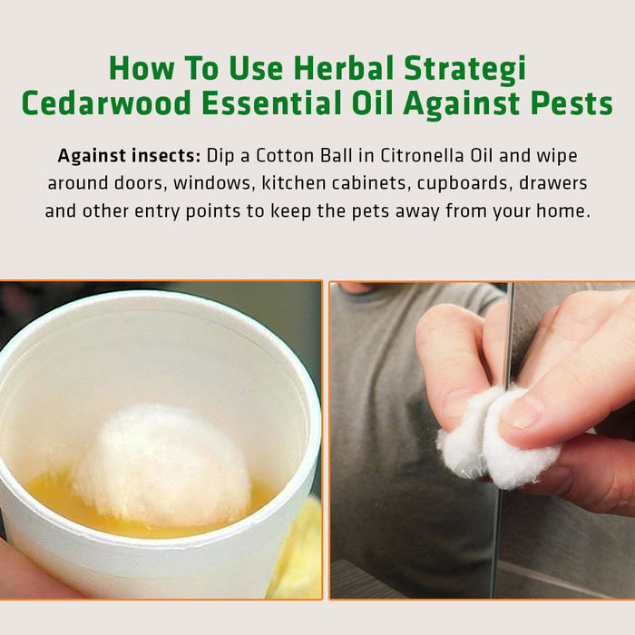 Herbal Cedarwood Essential Oil - 50ml