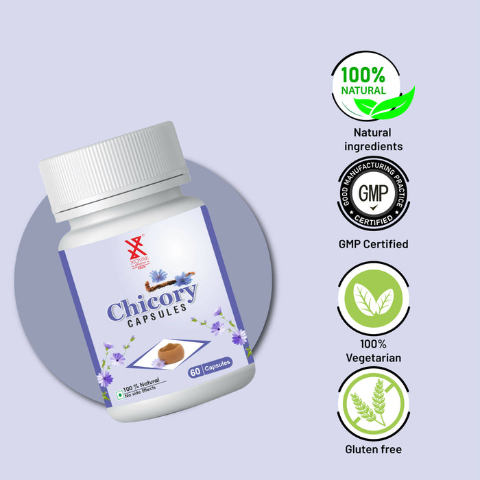 Chicory Capsule | Liver Protective, Anti-inflammatory, Stress Relief, Body Detox and Weight Support| Xovak Pharmtech