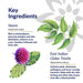 Anti-Acne Face Pack, Neem & East Indian Globe Thistle, Anti-bacterial for Oily & Acne prone skin - Local Option