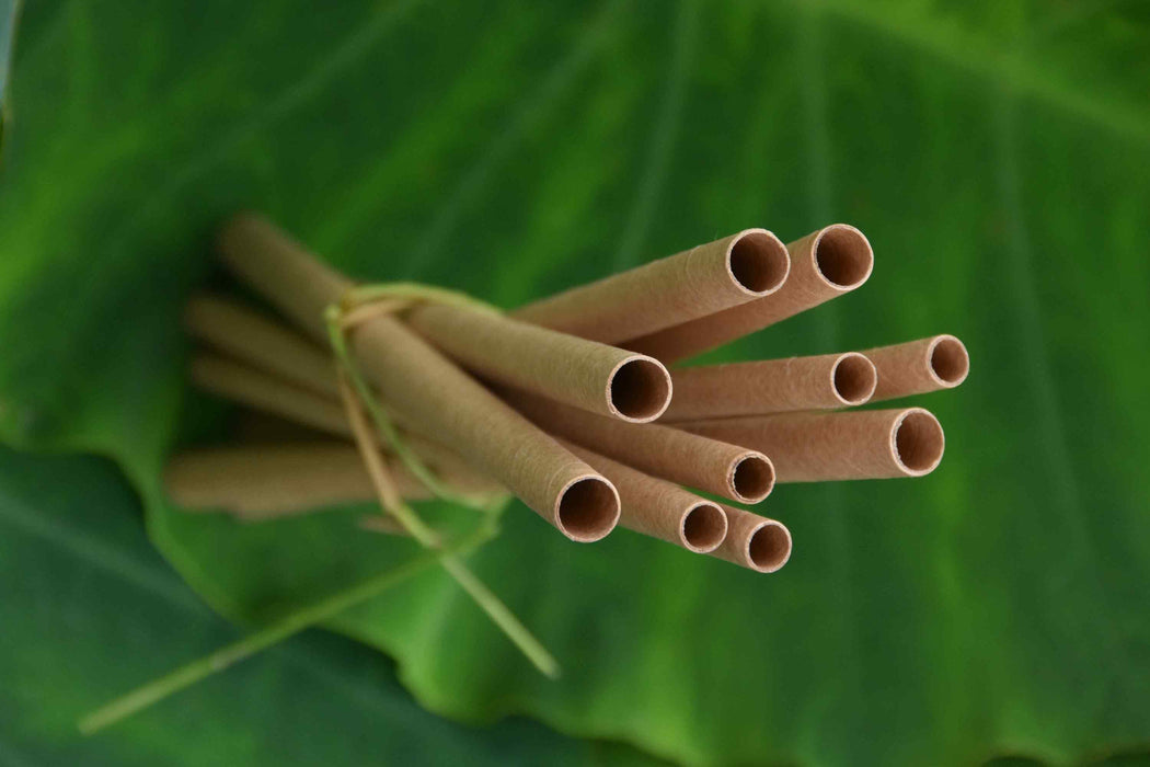 Bamboo Fiber Straws 25- Pack of 5