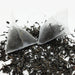 Wild Smoked Tea (Tea Pyramids) - Local Option