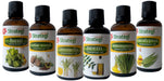 Natural Essential Oils (Pack of 6) - Herbal Strategi