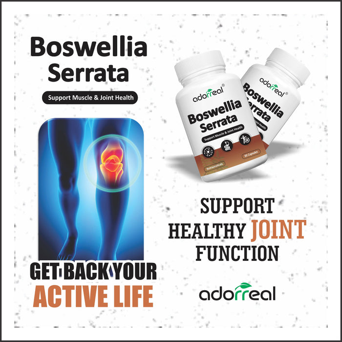 Adorreal Boswellia Serrata Shalaki Pure Extract for Bones & Joints Health | Boosts Immunity & Healing | 60 Capsules |