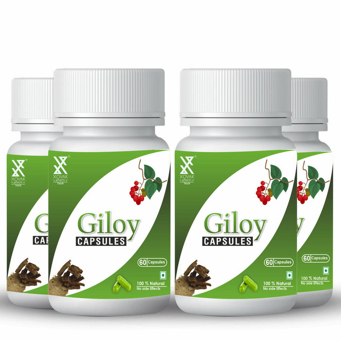 Giloy Capsule | Immunity Booster, Appetite stimulant, Rejuvenation, Improve Digestion | Xovak Pharmtech