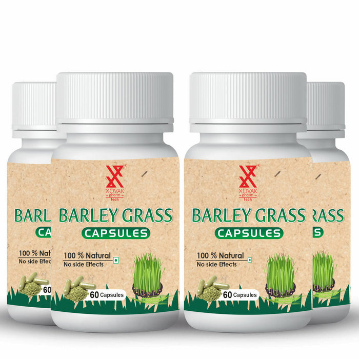 Barley Grass Capsule | Superfood Vitamin A, C & E, Antioxidant, Immunity Booster, Blood Purifier Constipation | Xovak Pharmtech