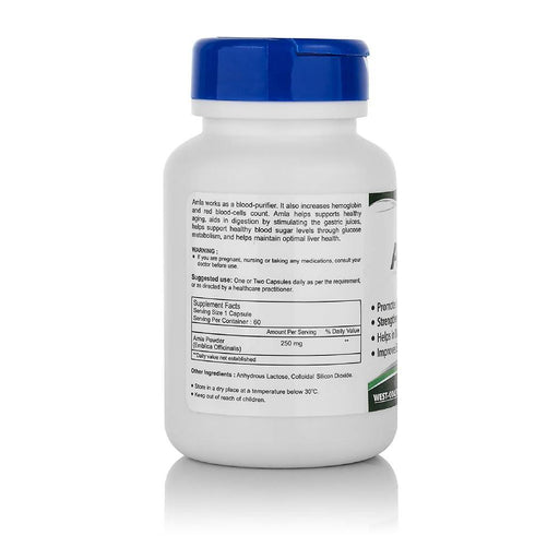 Healthvit Amla Powder 250 mg 60 Capsules - Local Option