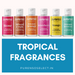 Fragrance Oil Collection - Tropical - Local Option