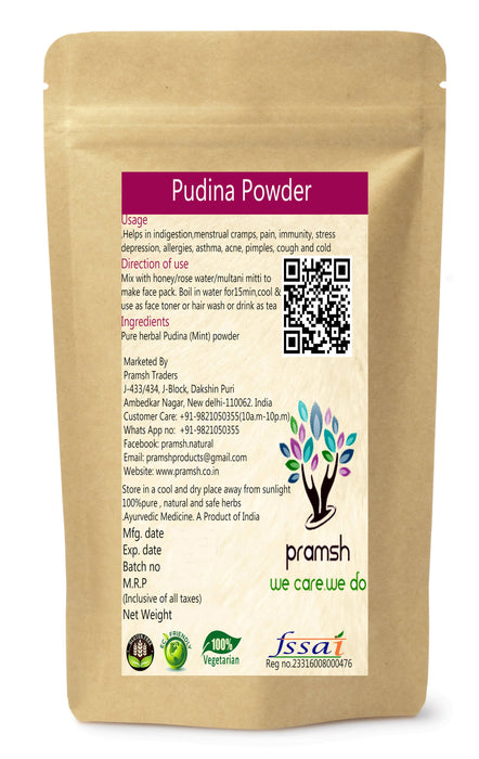 Pramsh Premium Quality Pudina Mint Powder - Local Option