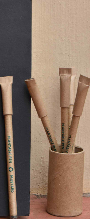 Plantable Pencil in a Round Box Pack of 5 in a tube box