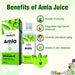 Guduchi Ayurveda Amla Juice - Rich Source of Vitamin C - Local Option