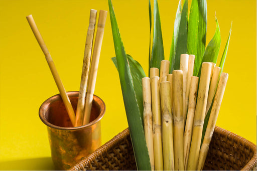 Handmade Bamboo Straw (Pack of 8 Straws) - Local Option