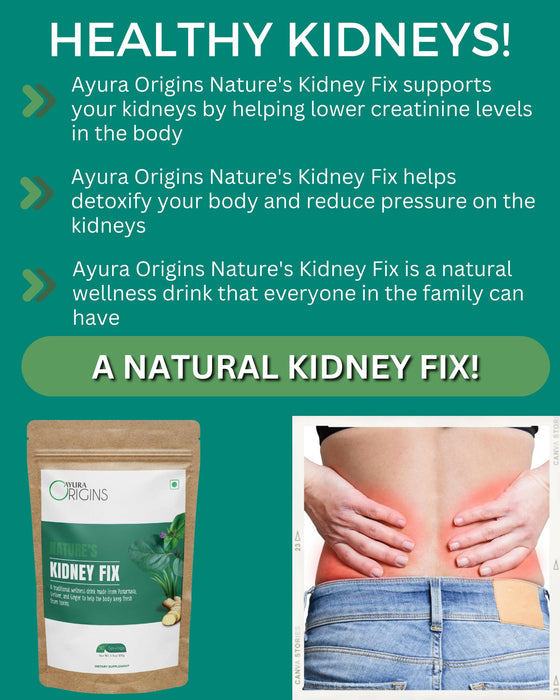 Ayura Origins Nature's Kidney Fix