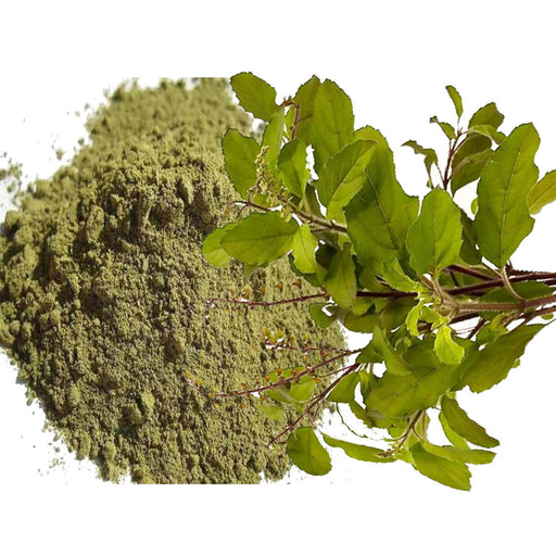 Pramsh Premium Quality Tulsi Leaf Powder - Local Option
