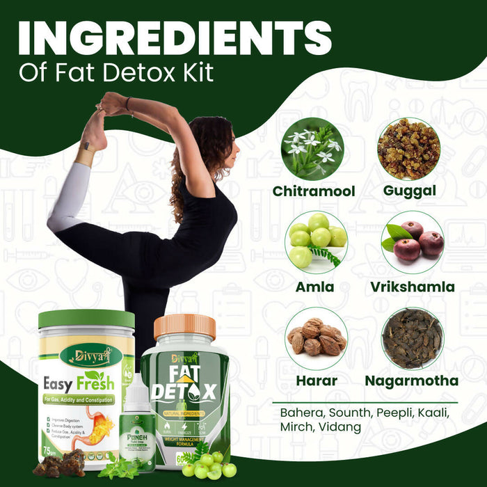 Divya Shree Fat Detox Capsule, Easy Fresh Powder & Punch Tulsi Drop - Slim Fit | Fat Burner | Help Immunity Booster, Reduces Acidity & Gas | Digestion Support | Slimming Weight Loss Body Fitness | Fat Burner and Weight Loss Kit for Men & Women