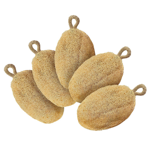 Natural Loofah Pack of 5 a