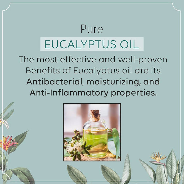 100% Pure & Natural Eucalyptus Oil for Skin and Hairs - 30ml