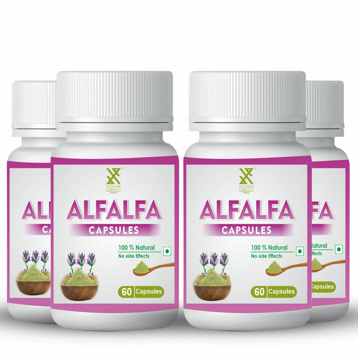 Alfalfa Capsule | Bone and Joint Support, Pain relief, Immunity and Blood purification | Xovak Pharmtech