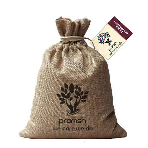 Pramsh Luxurious Quality Dried Blueberries Naturally - Local Option